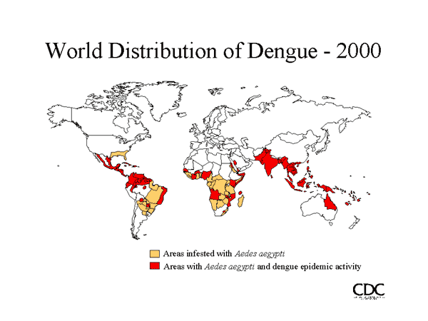 Dengue Distribution