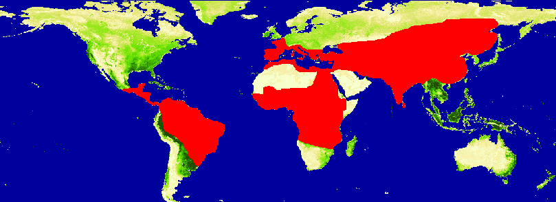 Leishmaniasis Distribution