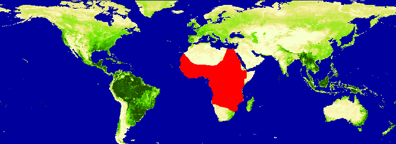 Rift Valley Fever Distribution