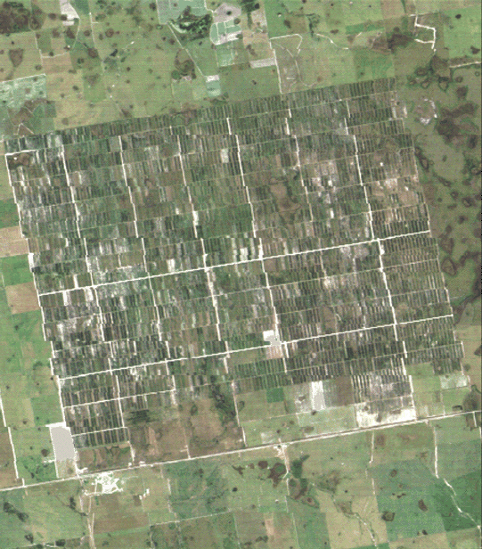 Landsat 0R data image