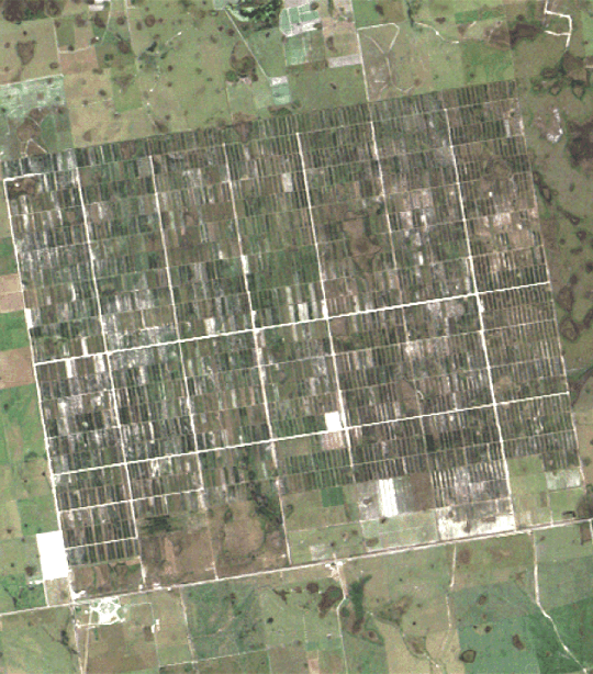 Landsat 1G data image