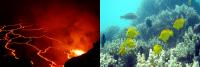 In February 2017, scientists begin collecting data on coral reef health and volcanic emissions and eruptions in Hawaii using NASA airborne instruments, watercraft, and ground-based sensors. Credits: NASA/Benjamin Phillips (left), NOAA (right)