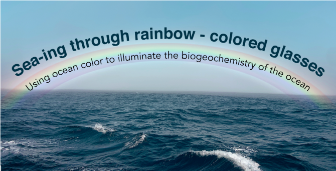 Using ocean color to illuminate the biogeochemistry of the ocean
