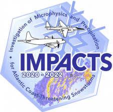IMPACTS logo