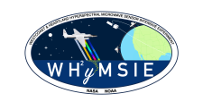WH2yMSIE logo