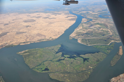 The turbid and complex waters of the Sacramento-San Joaquin River Delta were visible during a spiral maneuver. Photo by Luke Ziemba.