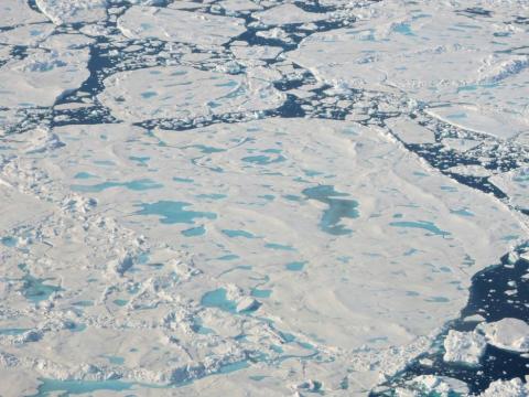 A collection of broken up sea ice floes of various sizes, floating north of Greenland. Melt ponds are visible on the ice surface. This photo was taken during an Operation IceBridge flight on July 24, 2017. Credits: NASA/Robbie Russell