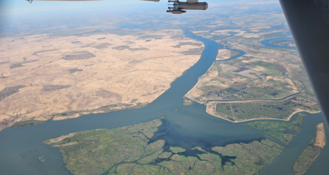 The turbid and complex waters of the Sacramento-San Joaquin River Delta were visible during a spiral maneuver. Photo by Luke Ziemba.